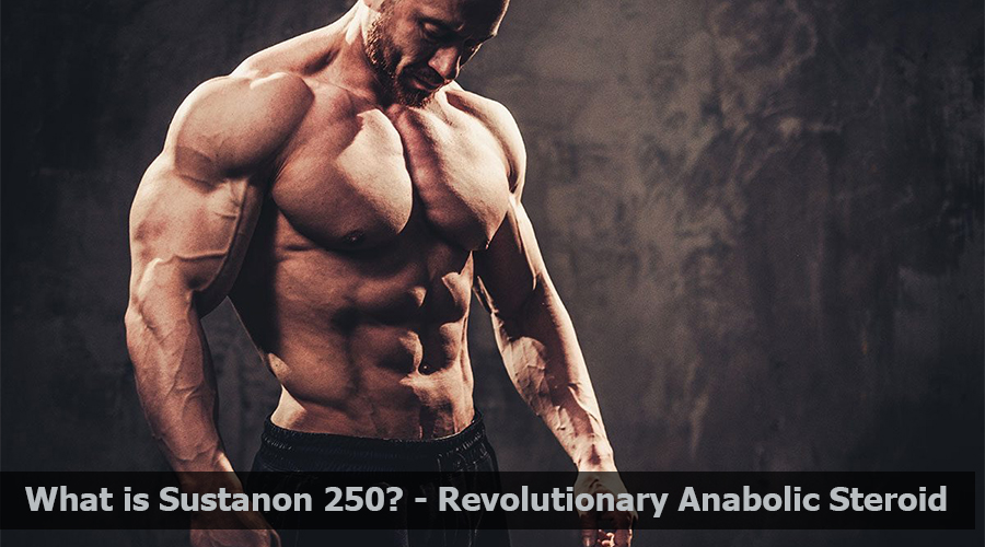 sustanon 250 cycle before and after pictures