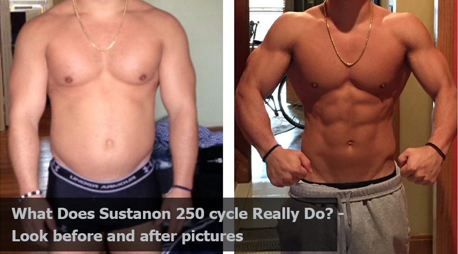 sustanon 250 cycle before and after pictures